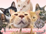 謹賀新年 謹賀新年