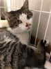 7月5日のごまおくん